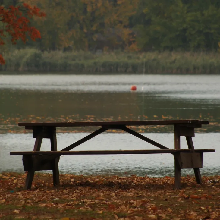 A bench in the middle of a park near water.