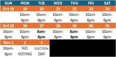 early voting2